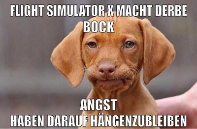 Flight Simulator X macht derbe bock angst haben darauf hängenzubleiben