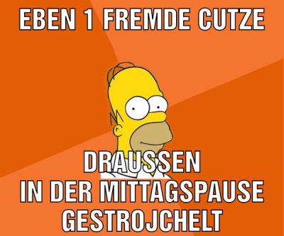 Eben 1 fremde cutze Draußen in der Mittagspause gestrojchelt