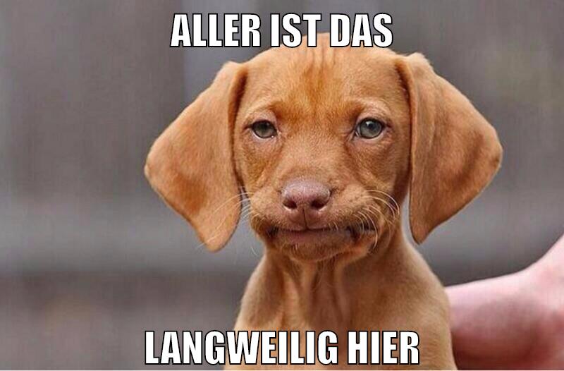 aller ist das langweilig hier
