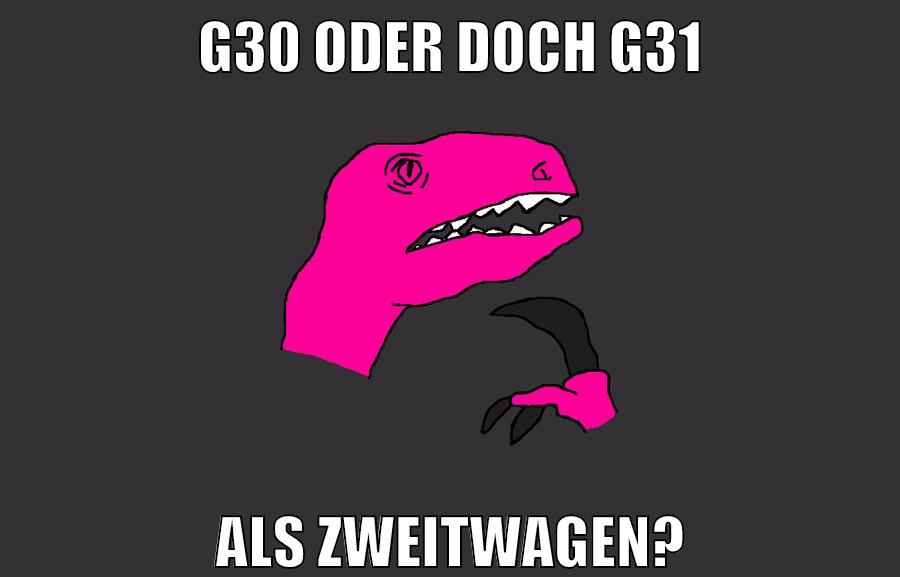 G30 oder doch G31 ALS ZWEITWAGEN?