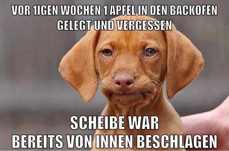 vor 1igen wochen 1 apfel in den backofen gelegt und vergessen scheibe war bereits von innen beschlagen