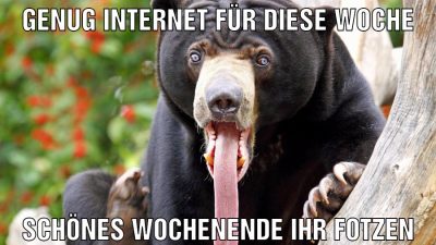 genug internet für diese woche schönes wochenende ihr fotzen