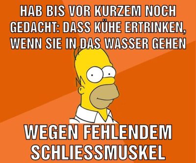 hab bis vor kurzem noch gedacht: dass kühe ertrinken, wenn sie in das wasser gehen wegen fehlendem schliessmuskel