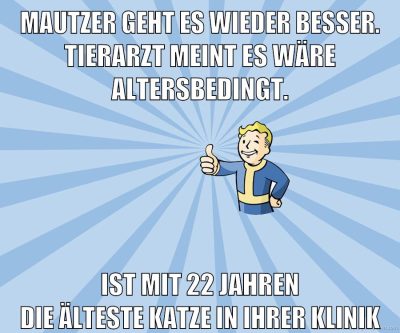 mautzer geht es wieder besser. tierarzt meint es wäre altersbedingt. ist mit 22 jahren die älteste katze in ihrer klinik