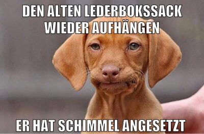den alten lederbokssack wieder aufhängen er hat schimmel angesetzt
