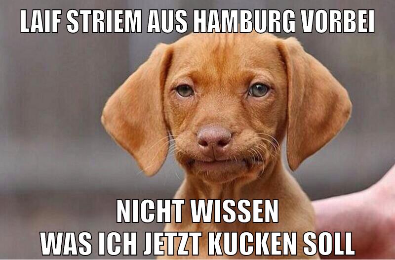 laif striem aus hamburg vorbei nicht wissen was ich jetzt kucken soll