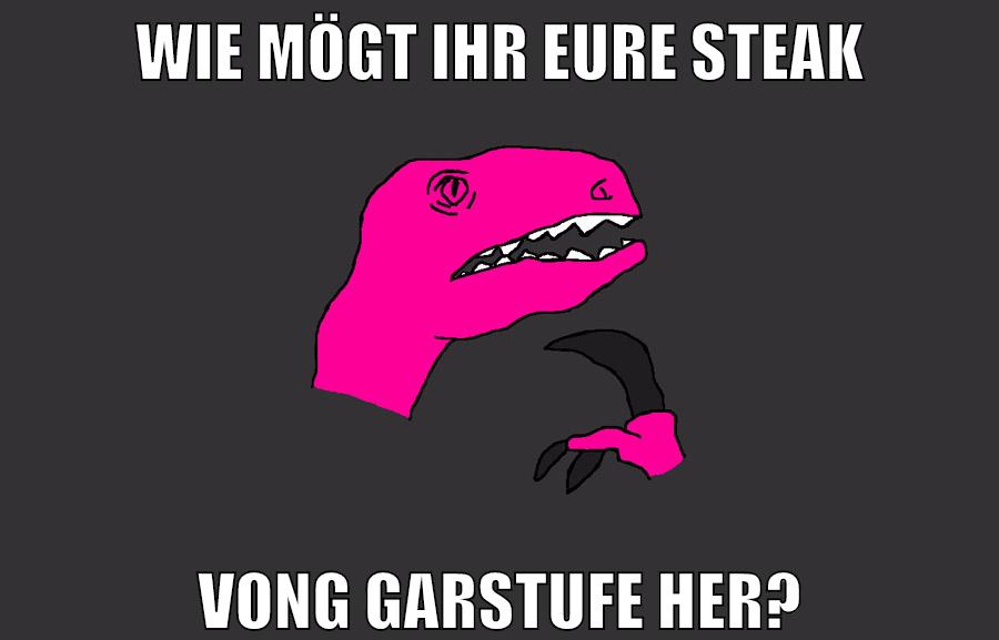wie mögt ihr eure steak vong garstufe her?