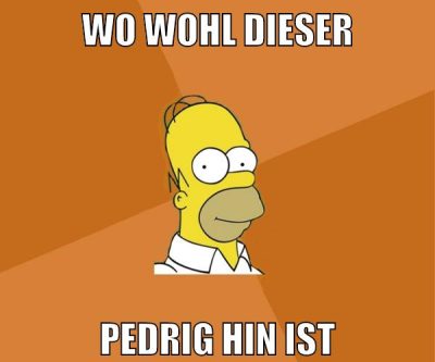 wo wohl dieser pedrig hin ist