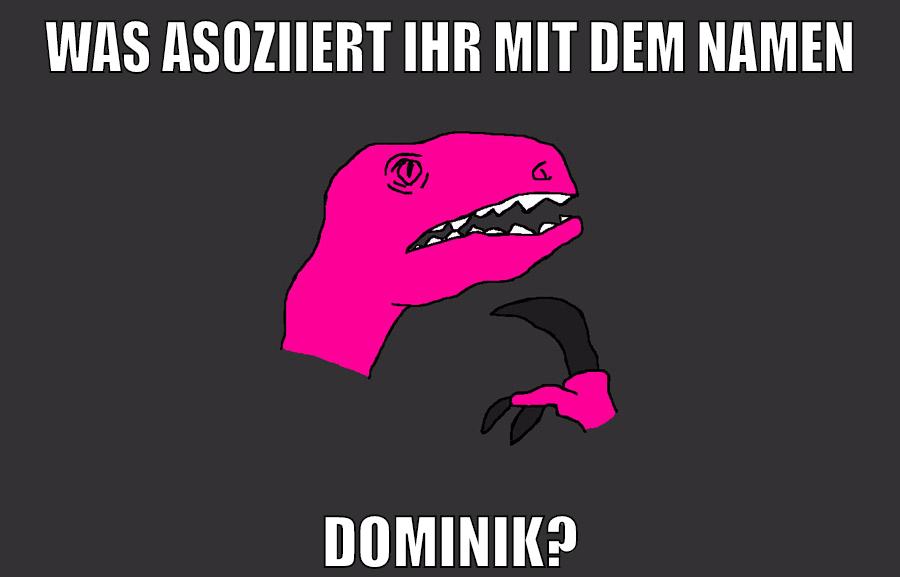 WAS ASOZIIERT IHR MIT DEM NAMEN DOMINIK?