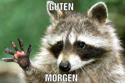 Guten Morgen