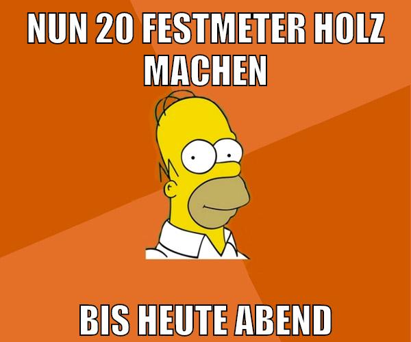 nun 20 festmeter holz machen bis heute abend