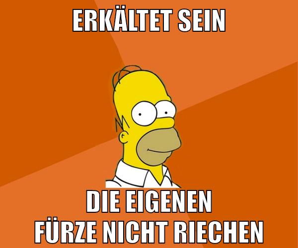 erkältet sein die eigenen fürze nicht riechen