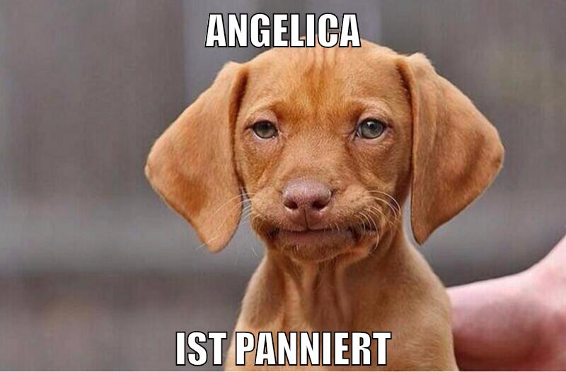 angelica ist panniert