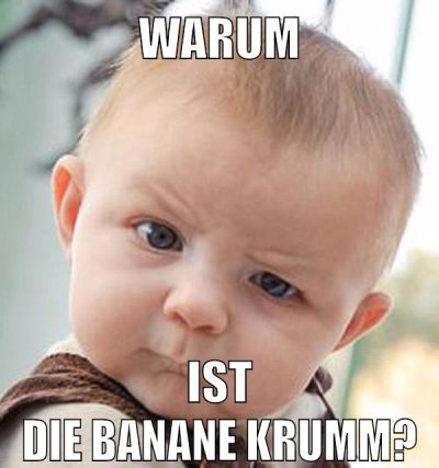 warum ist die banane krumm?
