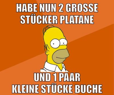 habe nun 2 große stücker platane und 1 paar kleine stücke buche