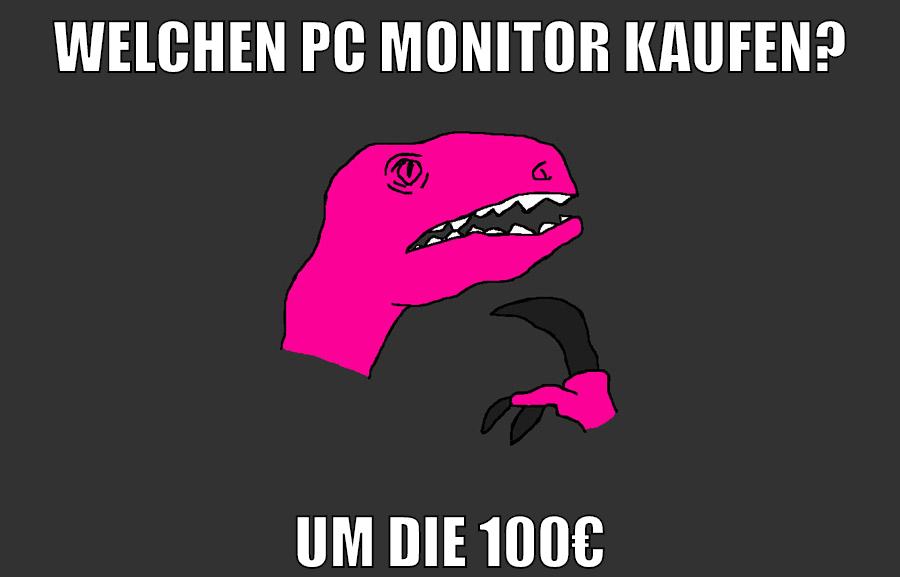 welchen pc monitor kaufen? um die 100€