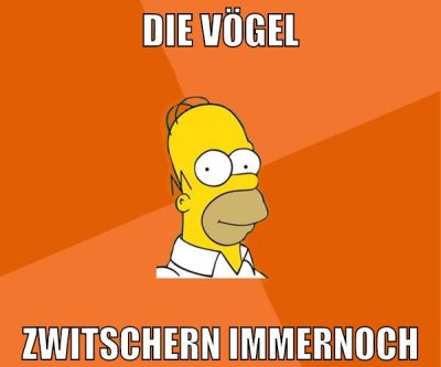 die vögel zwitschern immernoch