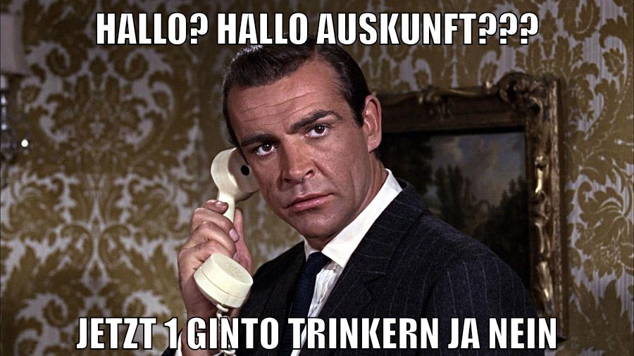 HALLO? HALLO AUSKUNFT??? JETZT 1 GINTO TRINKERN JA NEIN