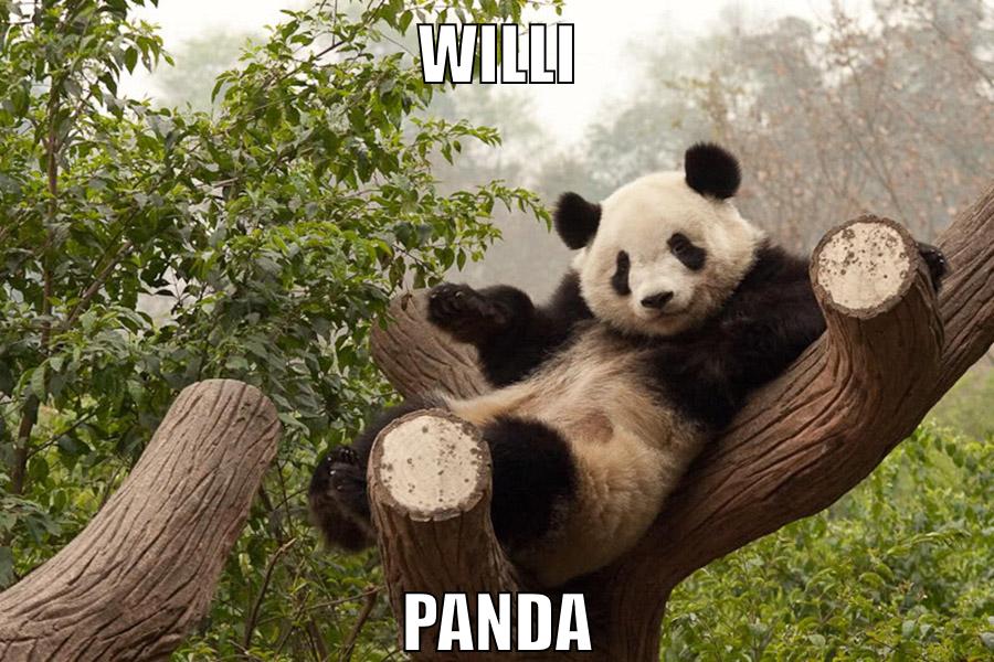 Willi Panda