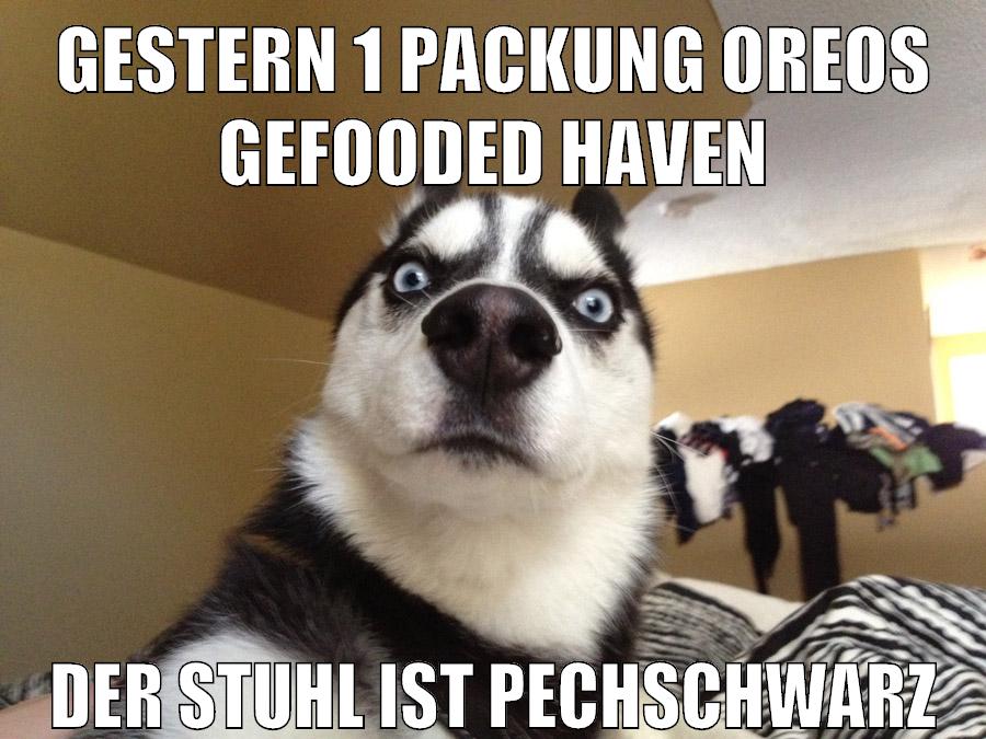 gestern 1 packung oreos gefooded haven der stuhl ist pechschwarz