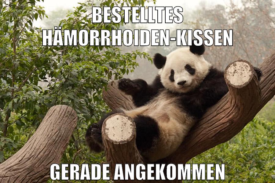 bestelltes hämorrhoiden-kissen gerade angekommen
