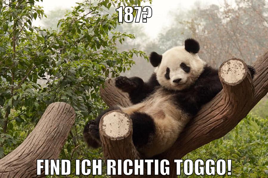 187? find ich richtig Toggo!