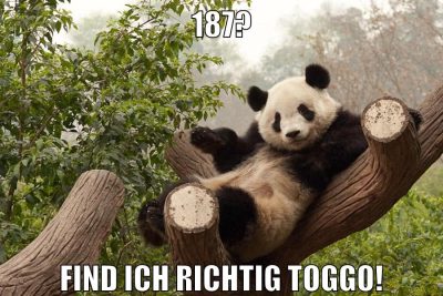 187? find ich richtig Toggo!