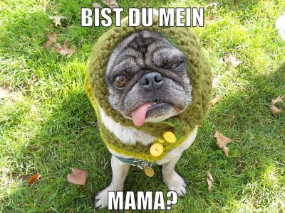Bist du mein MAMA?