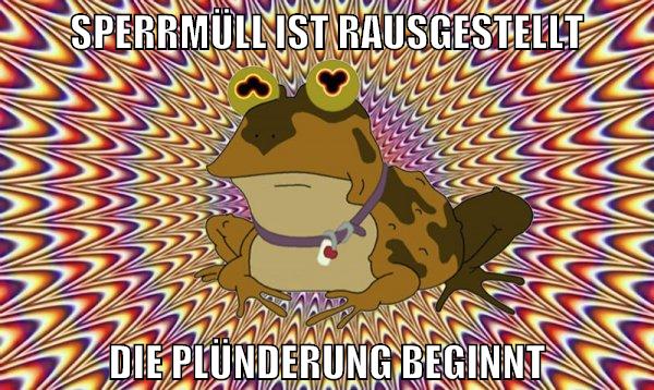 sperrmüll ist rausgestellt die plünderung beginnt