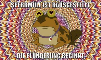 sperrmüll ist rausgestellt die plünderung beginnt