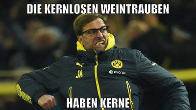 die kernlosen weintrauben haben kerne