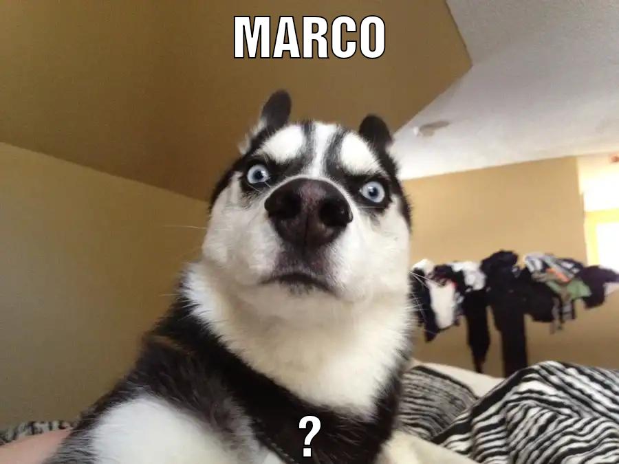 MARCO ?