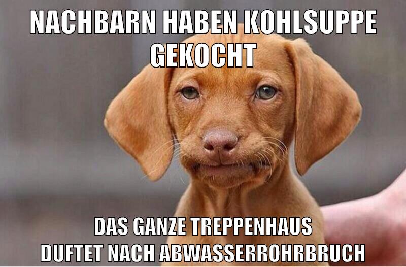 nachbarn haben kohlsuppe gekocht das ganze treppenhaus duftet nach abwasserrohrbruch