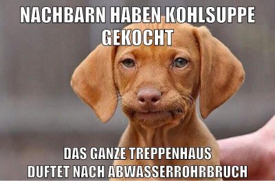 nachbarn haben kohlsuppe gekocht das ganze treppenhaus duftet nach abwasserrohrbruch