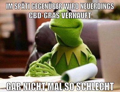 IM SPÄTI GEGENÜBER WIRD NEUERDINGS CBD-GRAS VERKAUFT GAR NICHT MAL SO SCHLECHT
