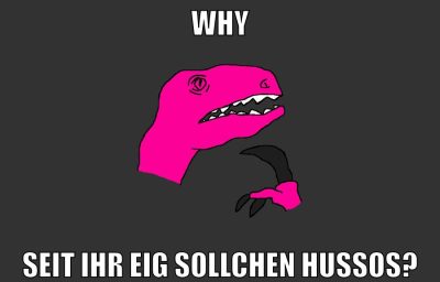 WHY SEIT IHR EIG SOLLCHEN HUßOS?