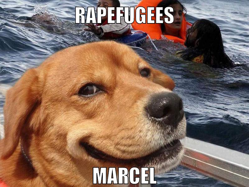 rapefugees marcel