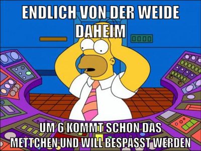 endlich von der weide daheim um 6 kommt schon das mettchen und will bespaßt werden