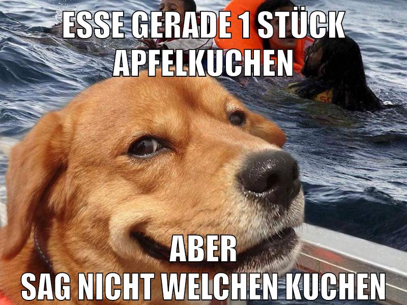 esse gerade 1 stück apfelkuchen aber sag nicht welchen kuchen