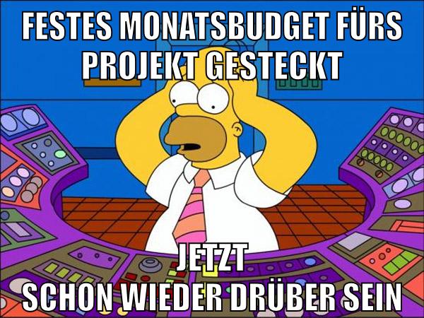 festes monatsbudget fürs projekt gesteckt jetzt schon wieder drüber sein