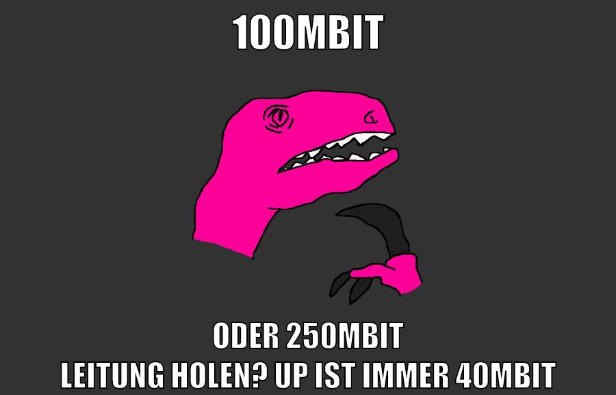 100mbit oder 250mbit leitung holen? up ist immer 40mbit