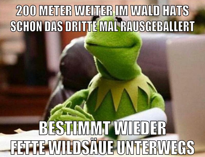 200 meter weiter im wald hats schon das dritte mal rausgeballert bestimmt wieder fette wildsäue unterwegs