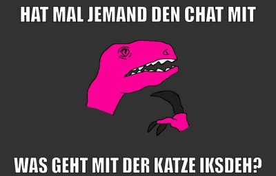 hat mal jemand den chat mit was geht mit der katze iksdeh?