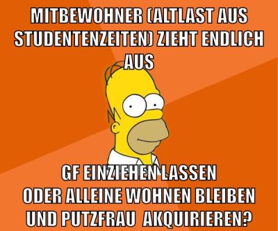 mitbewohner (altlast aus studentenzeiten) zieht endlich aus gf einziehen lassen oder alleine wohnen bleiben und putzfrau  akquirieren?