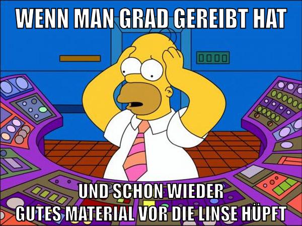 wenn man grad gereibt hat und schon wieder gutes material vor die linse hüpft