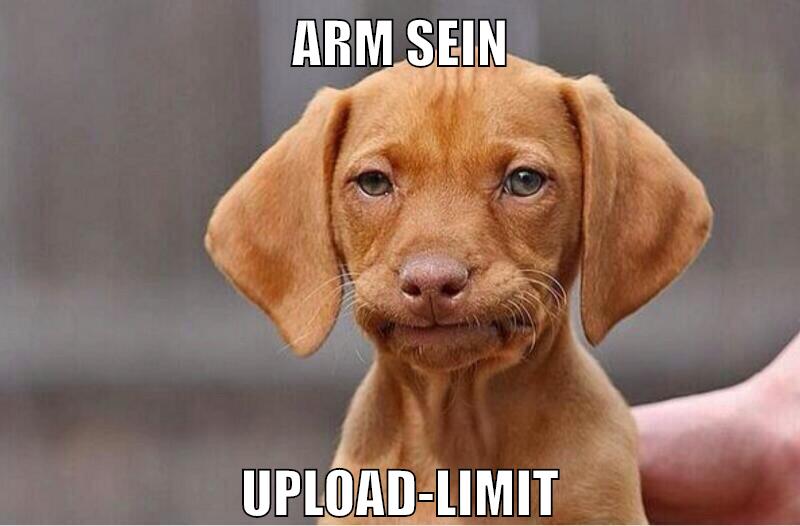 arm sein upload-limit