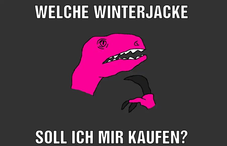 Welche winterJacke Soll ich mir kaufen?