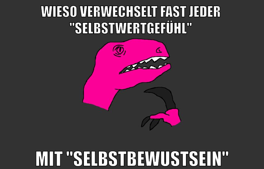 wieso verwechselt fast jeder  "selbstwertgefühl" mit "selbstbewustsein"