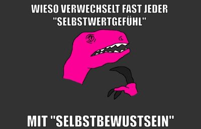 wieso verwechselt fast jeder  "selbstwertgefühl" mit "selbstbewustsein"