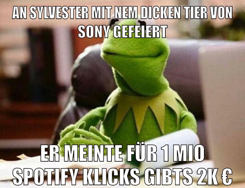 an sylvester mit nem dicken tier von sony gefeiert er meinte für 1 mio spotify klicks gibts 2k €
